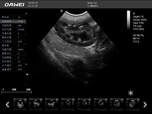 S9寵物b超機(jī)檢測圖
