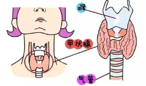 甲狀腺B超機超聲報告常見的六大問題